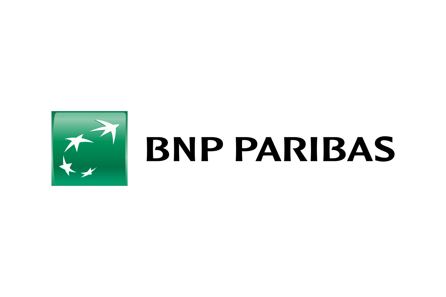 BNP_Paribas-Logo 2.wine.png